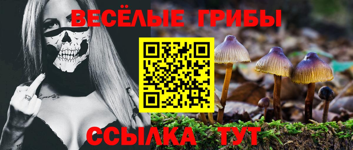 Марихуана  НБОМе  Меф   ГАШИШ  Знаменск  Вход с VPN 